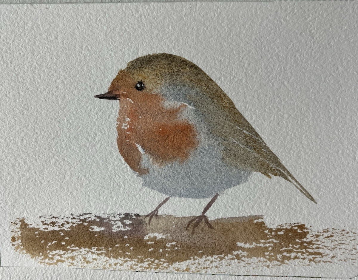 ORIGINAL Watercolor Bird Realism Painting on Paper, Nature Animals Art