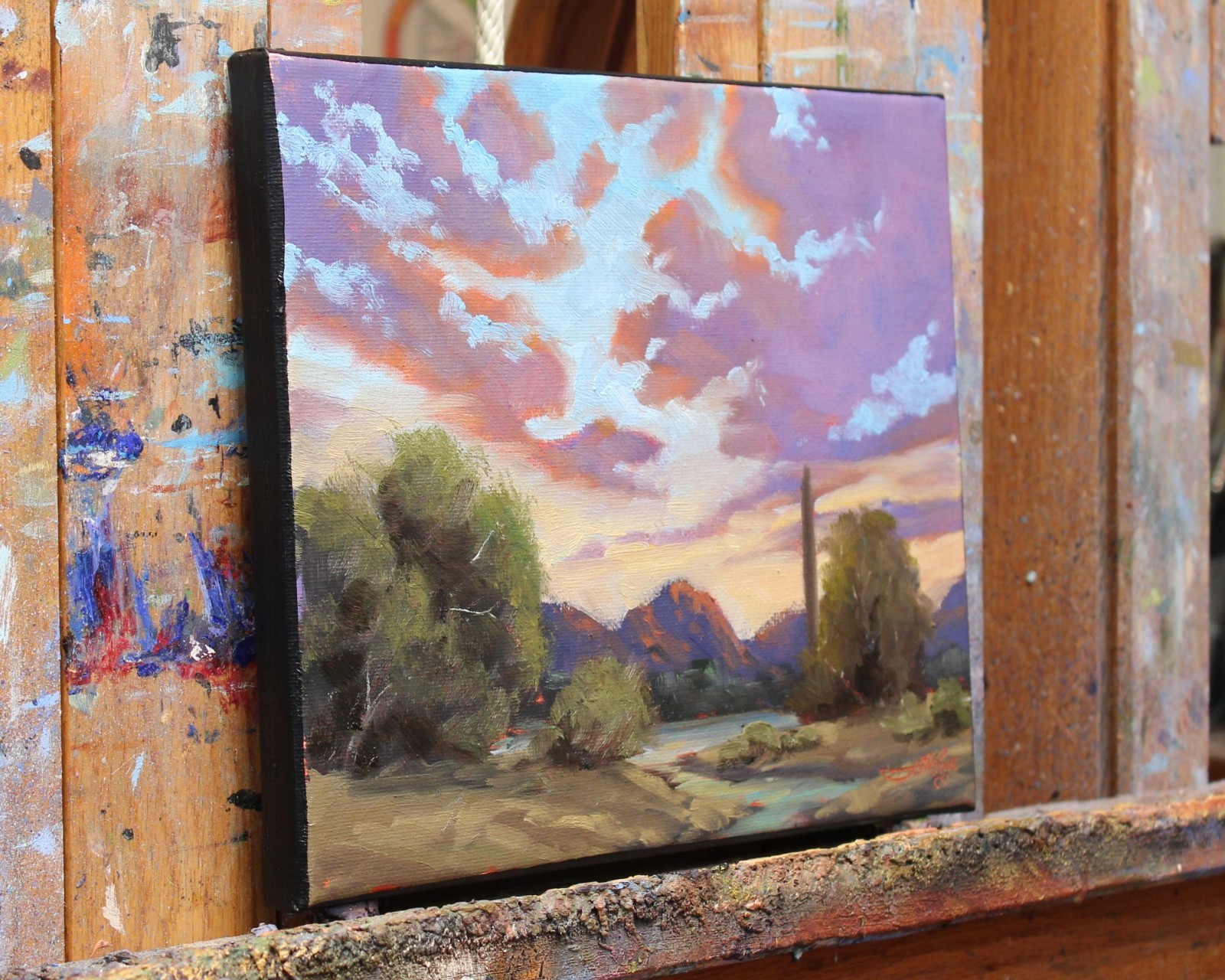 Jeff Love Art 8X10″ Original Oil Painting Arizona Desert Cactus Sky Sunset NEW