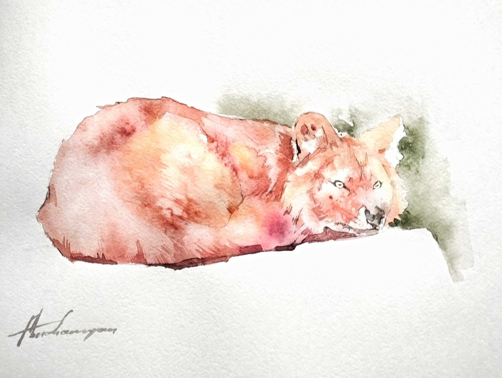Fox