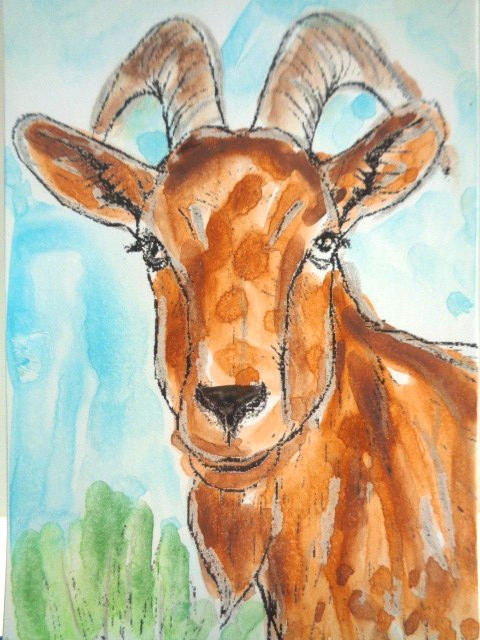 ATC ACEO Country Farm GOAT Painting Art