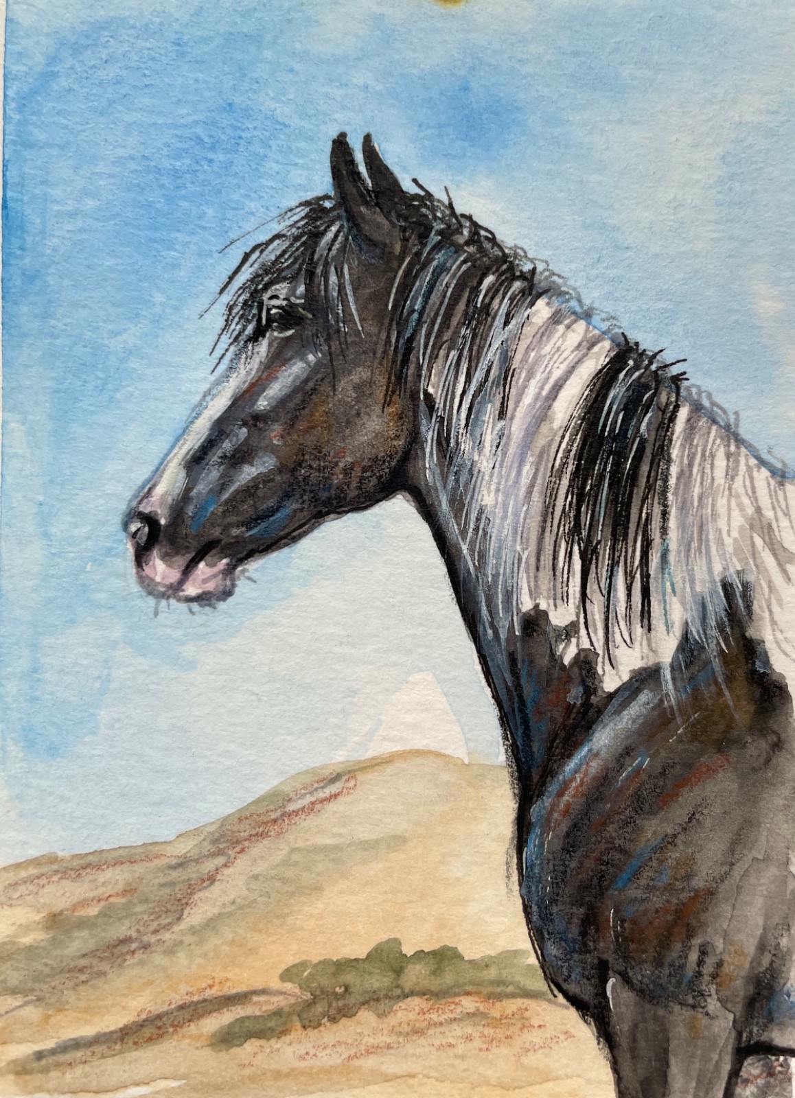 ACEO original watercolor -Pinto horse- 3.5 by 2.5 inches
