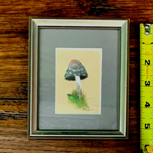 MUSHROOM Fungi Framed Original Fine Art Small Watercolor Signed P. HICKS 1982