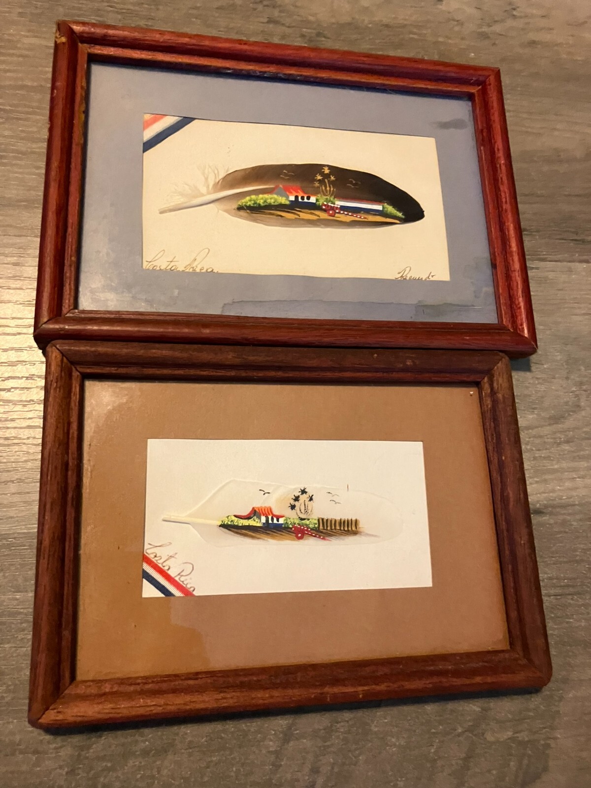 Lot of 2 Vintage Painted Feather Art Costa Rica Framed