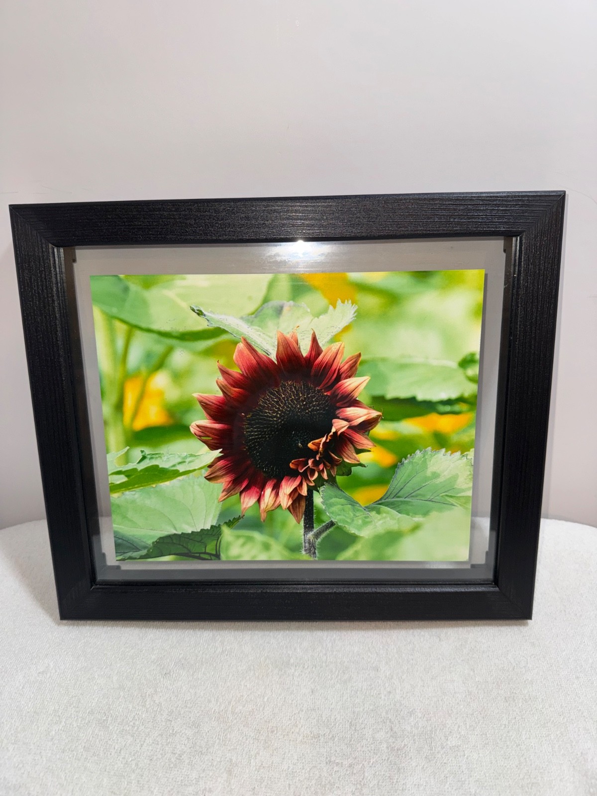 Still Life Red Sunflower-Framed-Nature Art-11.5 x 13.5″ Wall Hang