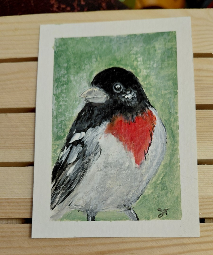 Signed Illustration Art Bird Painting on Paper, Small Unframed Single Piece