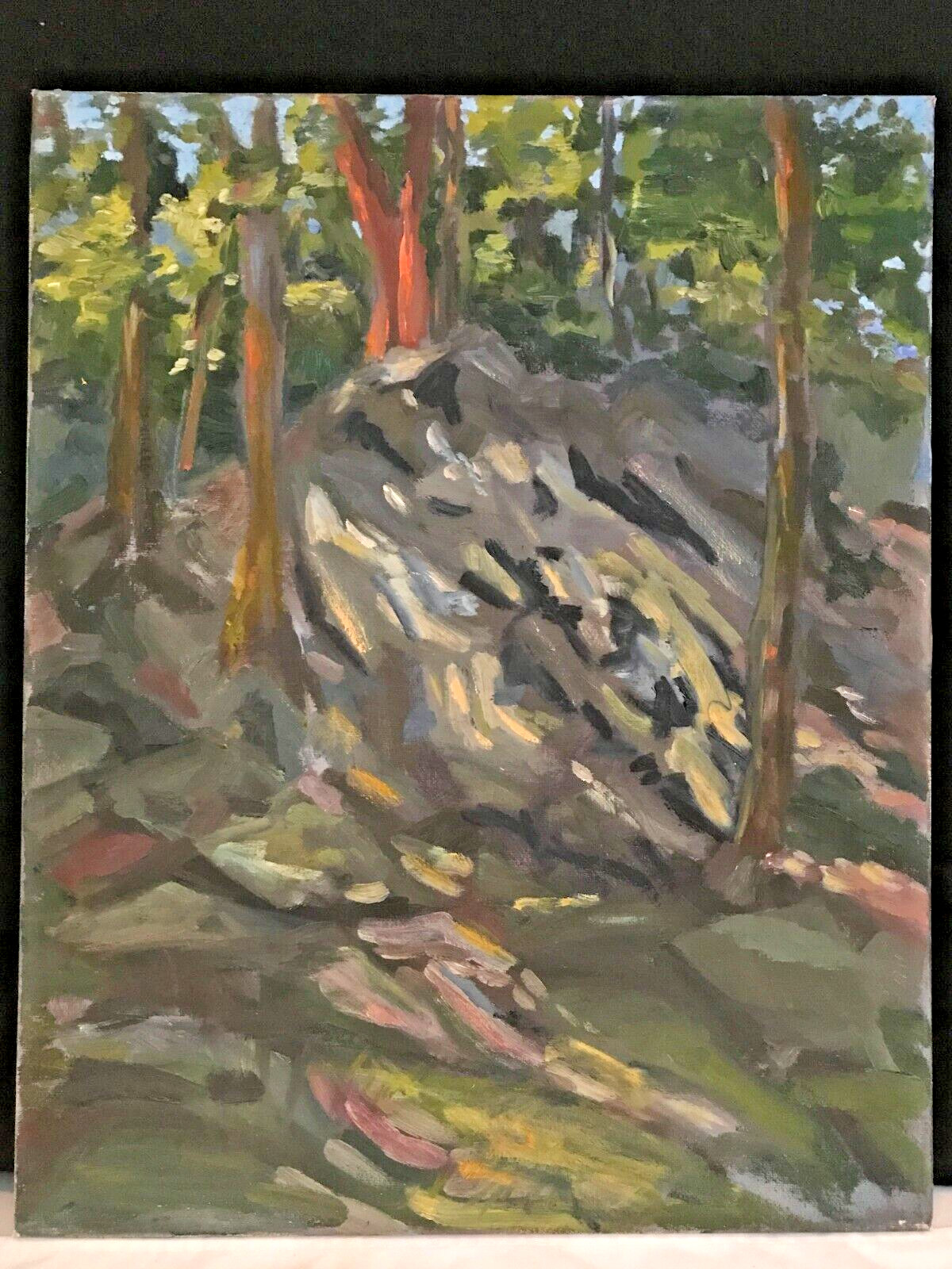 Rock Climbing Carderock Maryland Montgomery