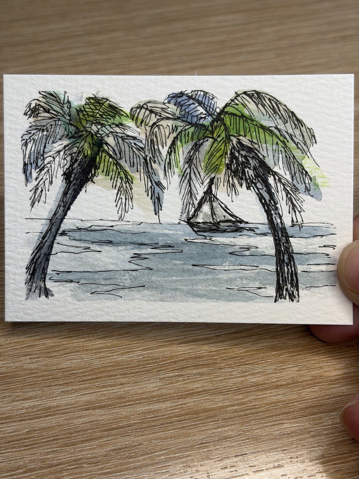 ACEO Original Watercolor And Ink Ocean Sailboat Palm Tropical By JMJager