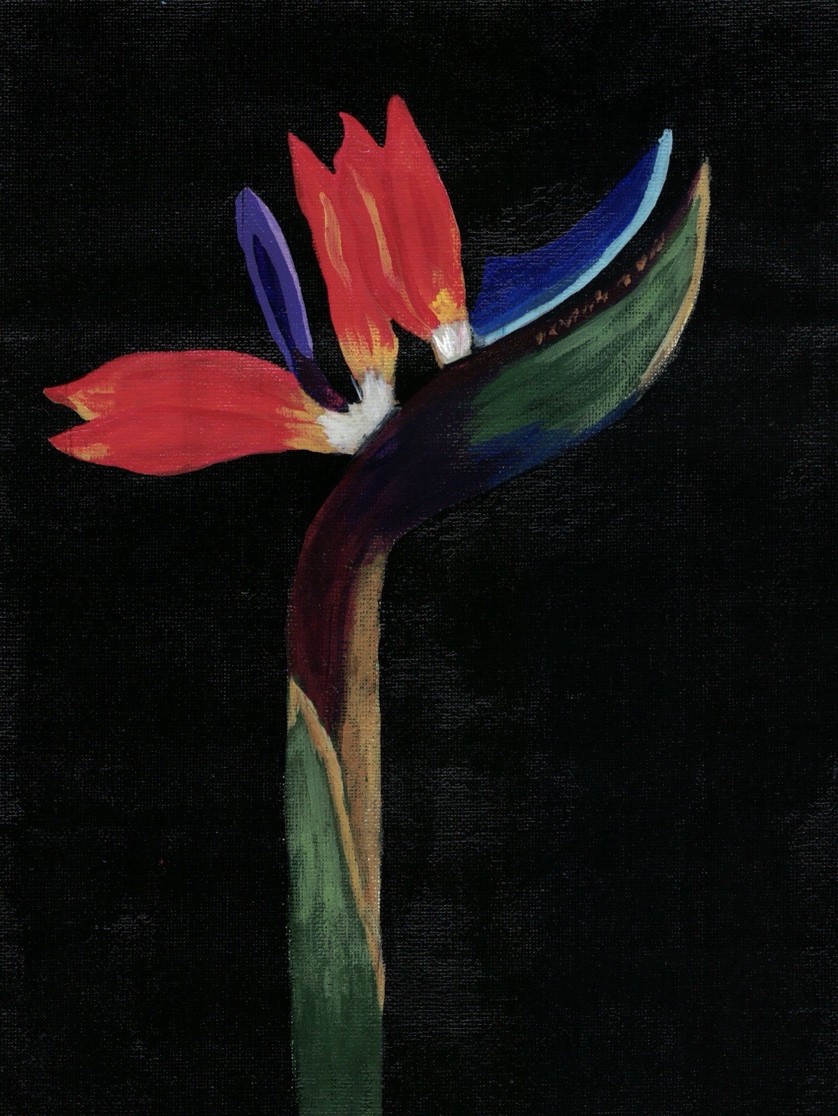 Original Acrylic On Canvas Paper Bird of Paradise Signed Art