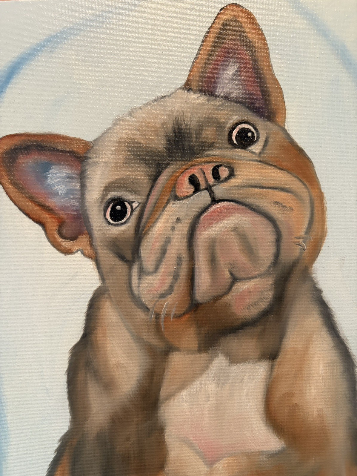 Original oil painting 11 x 14 inch French Bulldog with sassy attitude