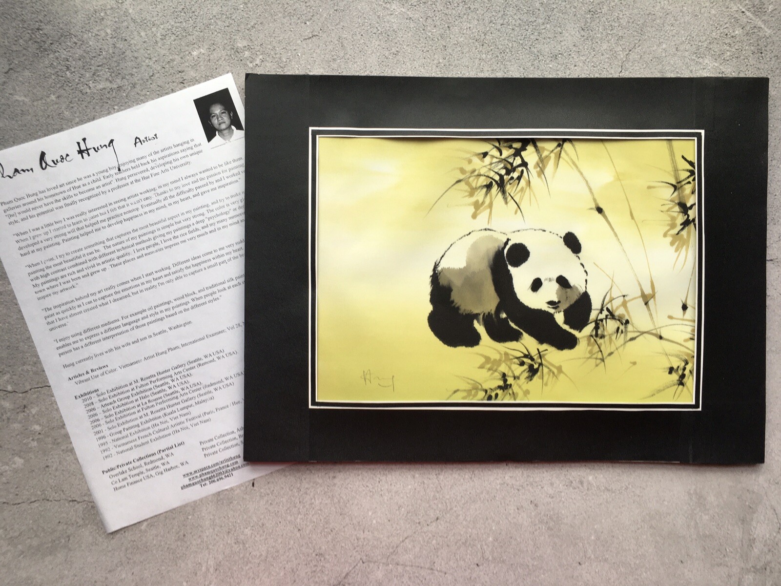 Panda Bear Water Color Painting on Silk Signed by Artist Pham Quoc Hung