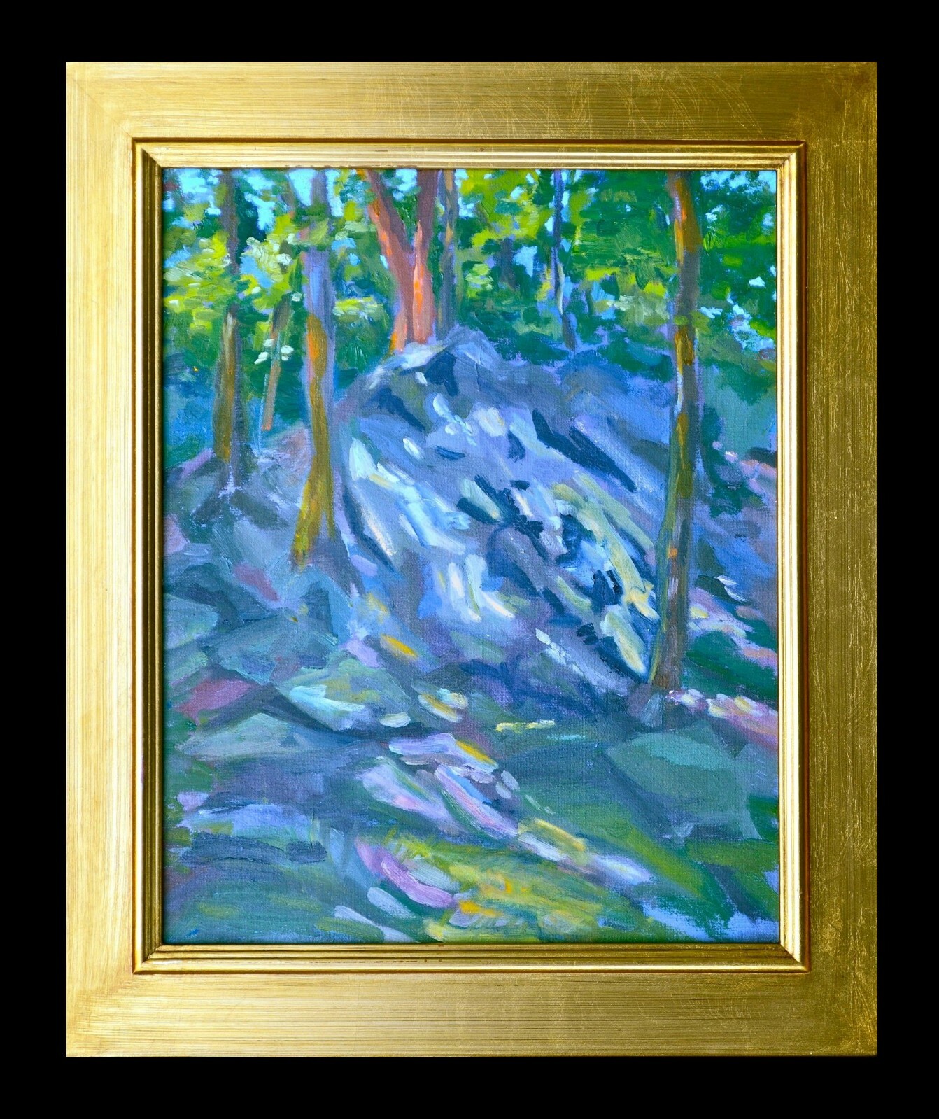 Rock Climbing Carderock Maryland Montgomery