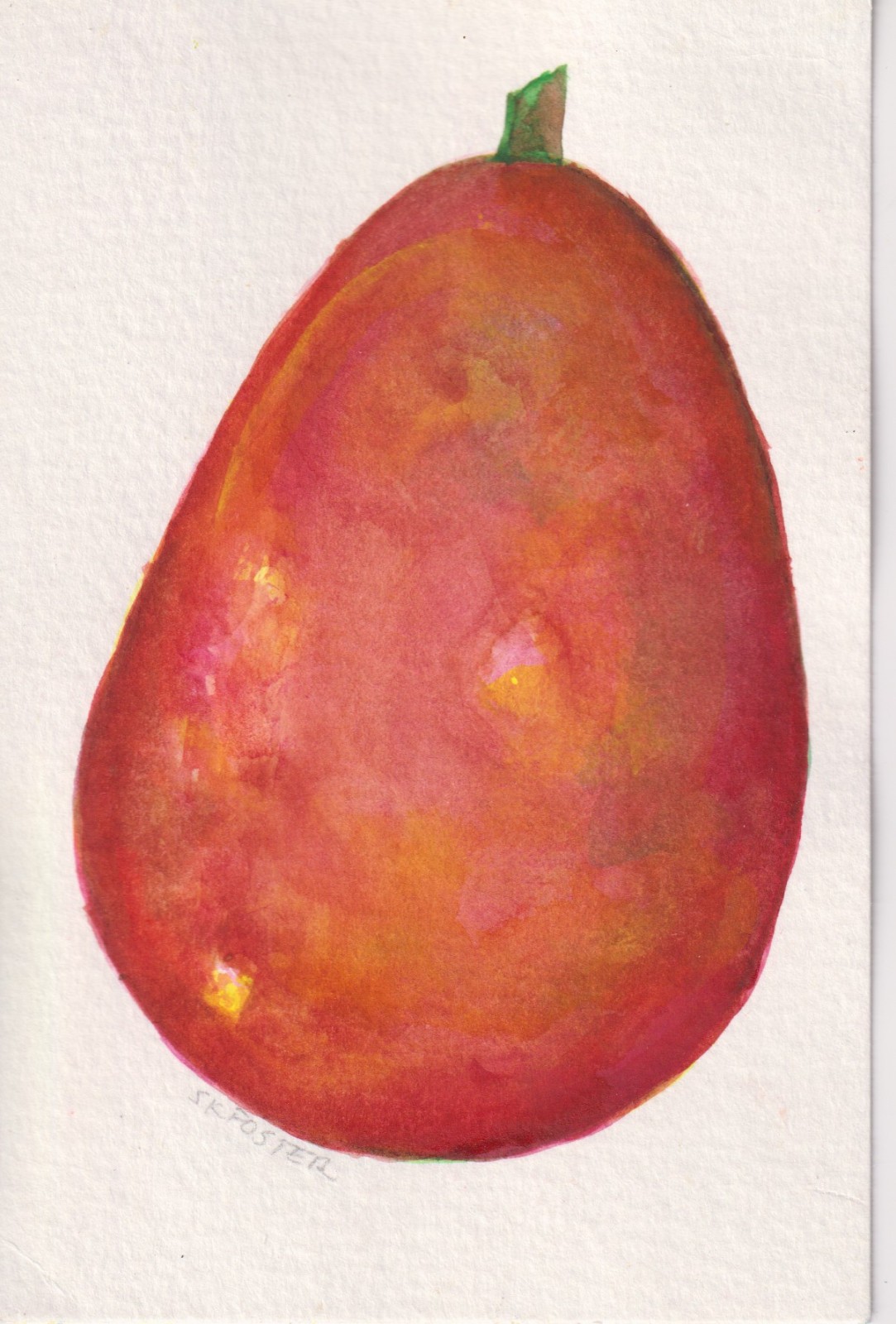 4×6 Red Pear Original Watercolor Painting, fruit by Sharon Foster