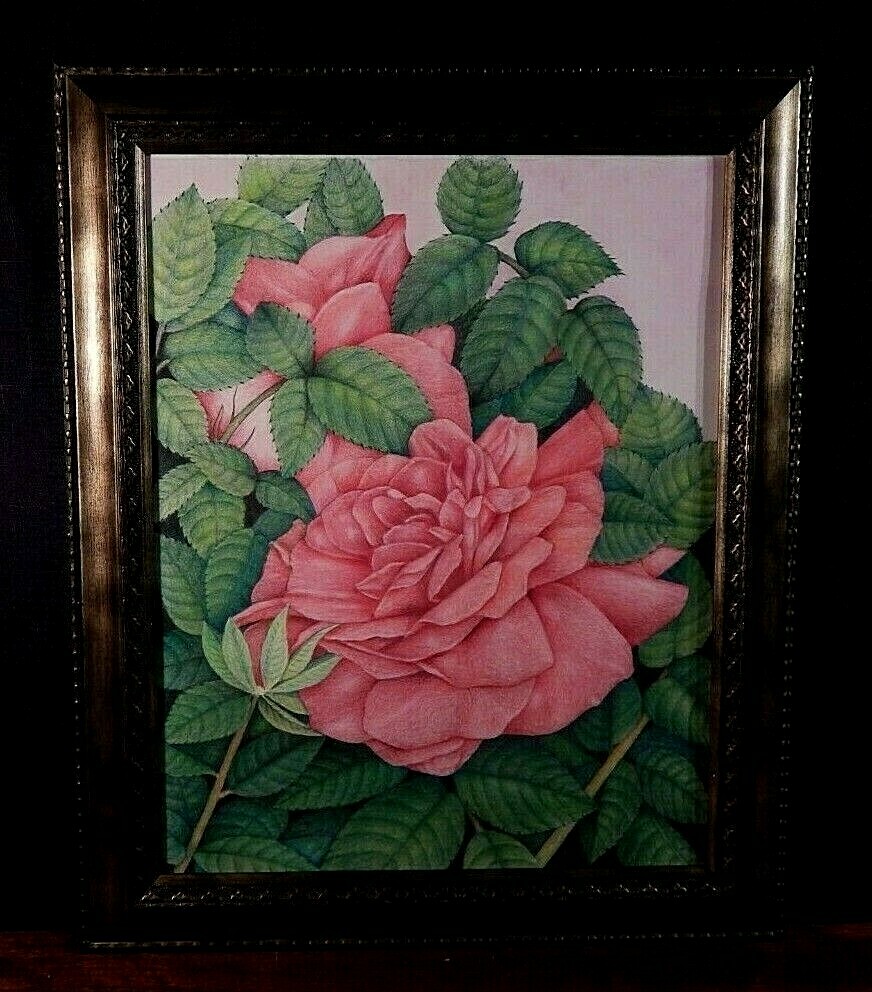 Drawing, Roses From the City of Roses, Portland, Oregon. Excellent Condition.