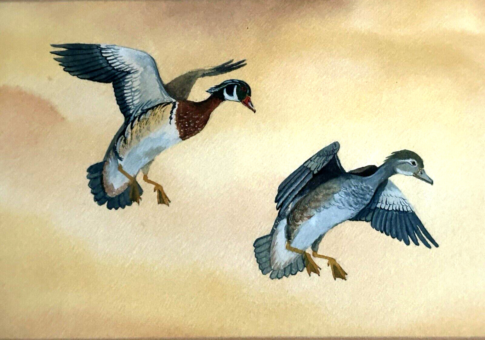 Bishop Signed Watercolor Painting Duck 13.5″L x 12.5″ W Vintage