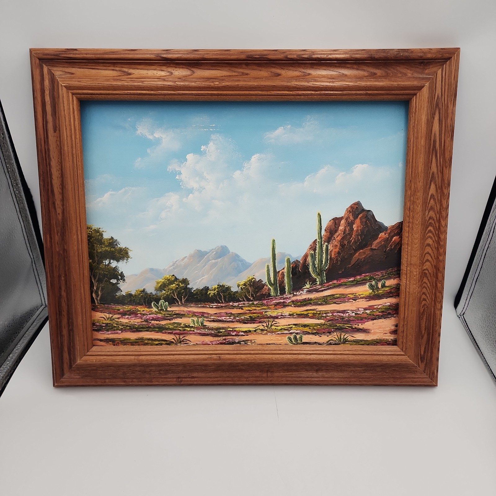 Original Oil Painting Summer Mountain Landscape with Cactus Signed Art 15×18″