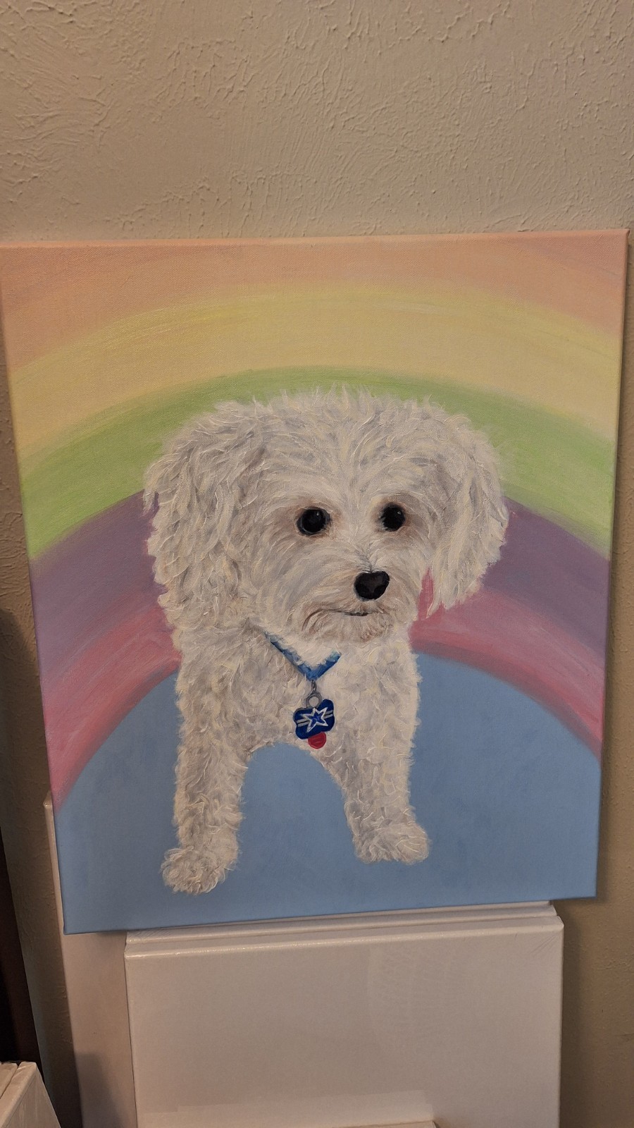 CUSTOM PET PORTRAITS