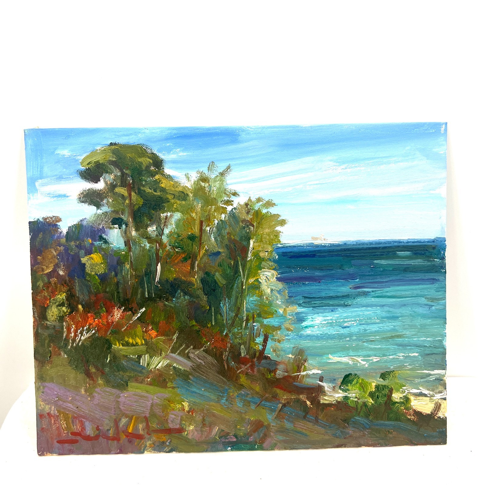 Original Artwork Study 11”x14” Oil Canvas Panel Shore Front Tadeusz Seidel