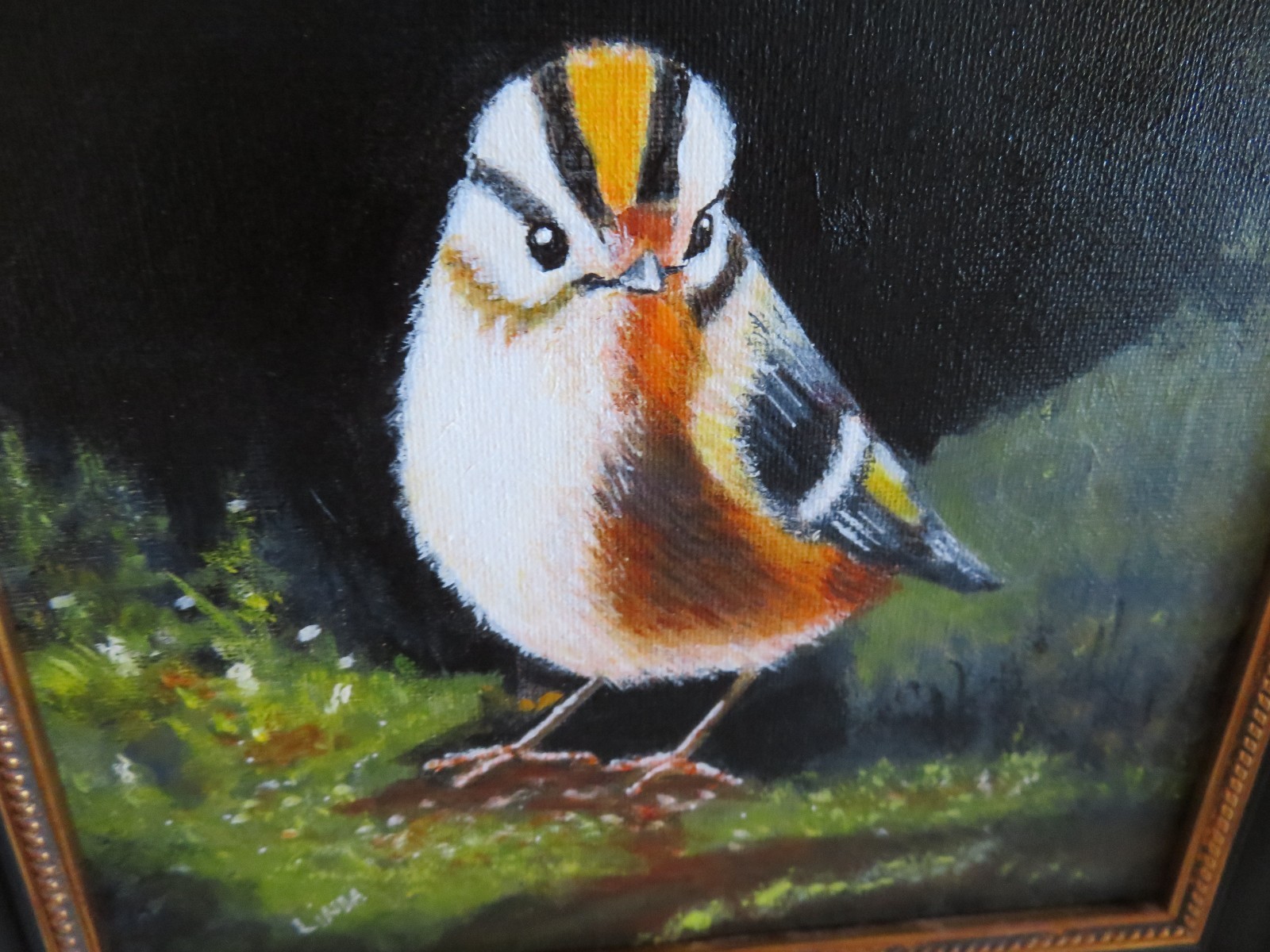 Stunning Wild Bird PAINTING on Canvas Amazing Colors Painting NOT a Print #3