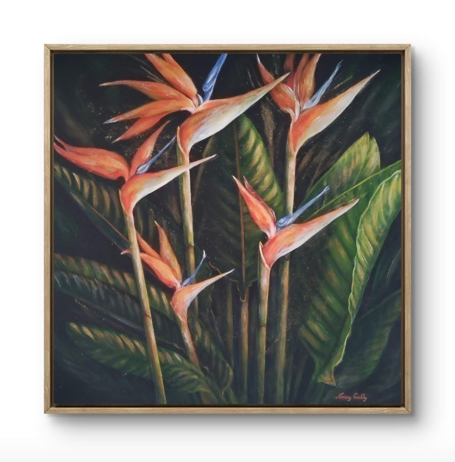 Original Expressive 24 x 24 Bird of Paradise Acrylic Canvas Art Painting